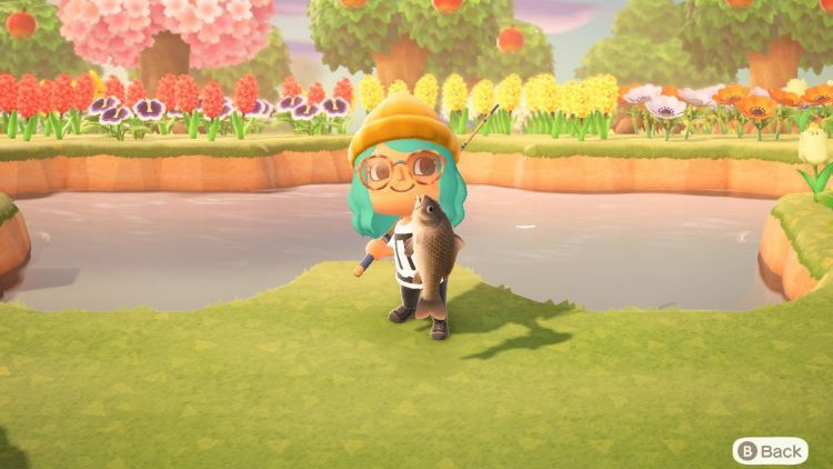 Rahasia Menangkap Ikan Langka Di Animal Crossing (Waktu, Tempat, Dan Umpan)