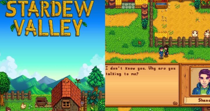 Mengapa Karakter Npc Di Stardew Valley Terasa Begitu “Hidup”?
